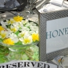 hibiscus_weddings-12